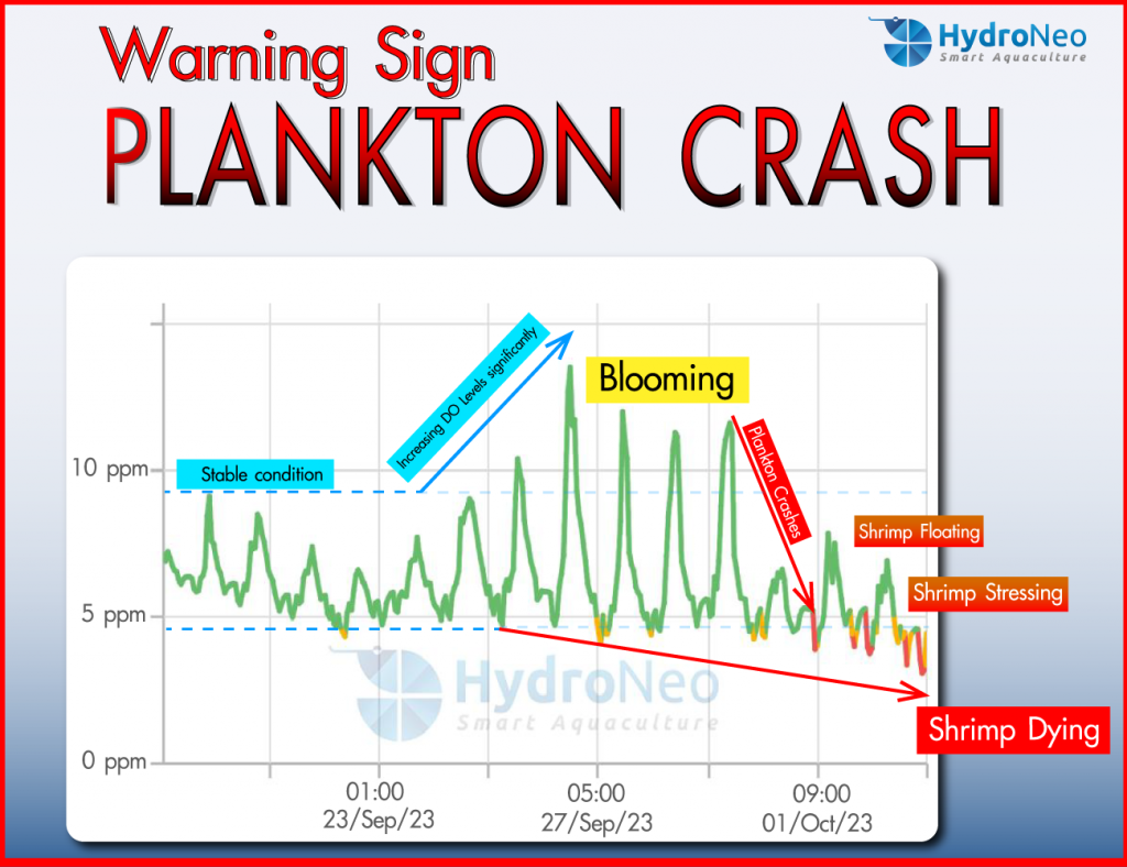 Plankton crash
