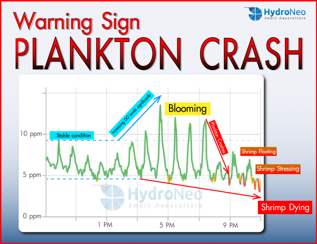 Plankton-Crash