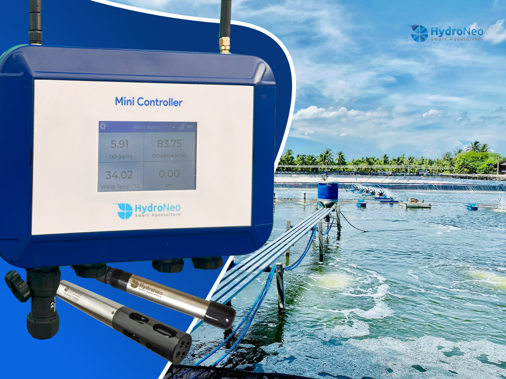 DO Sensors Explained: The Key to Better Water Quality Management