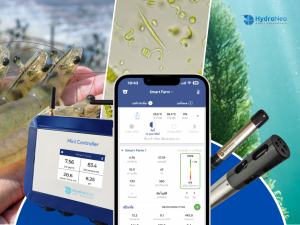 Plankton and photosynthesis the power houses of water quality