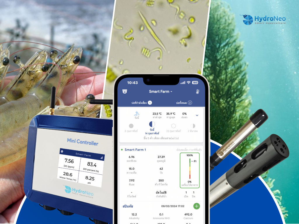 Plankton and photosynthesis the power houses of water quality