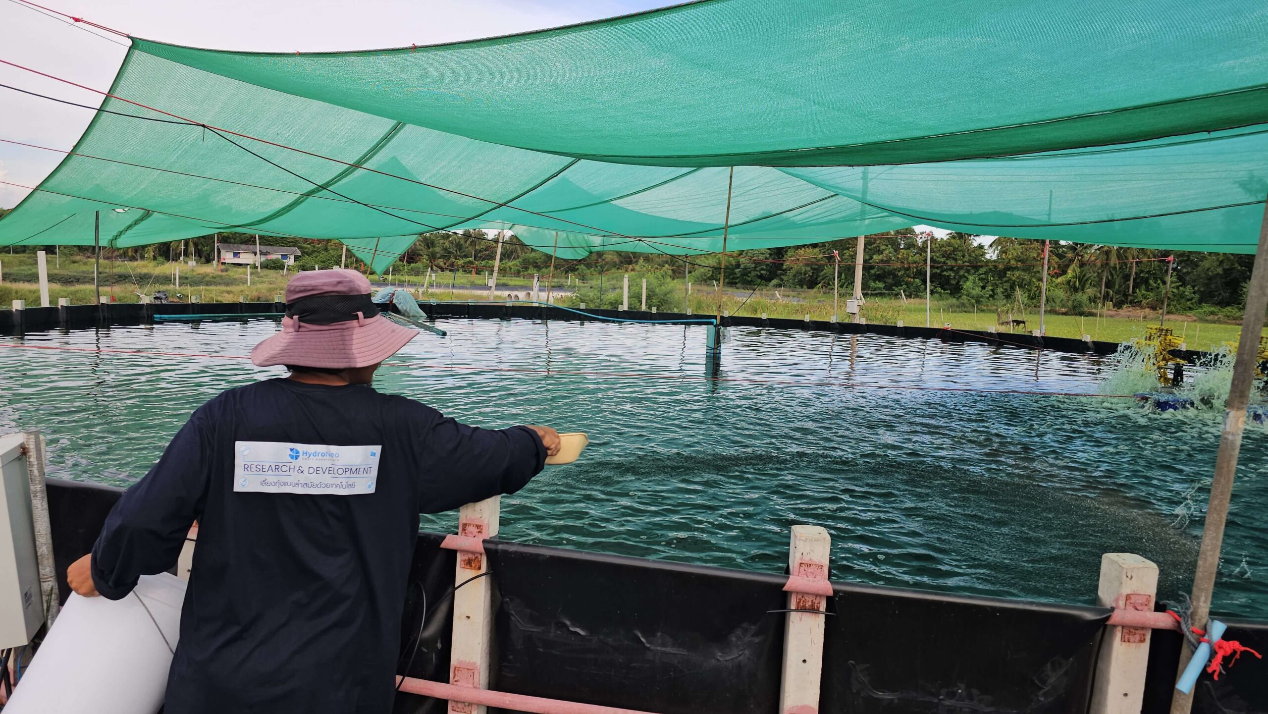 Preparing Shrimp Ponds_Expert Tips for Long-Term Success