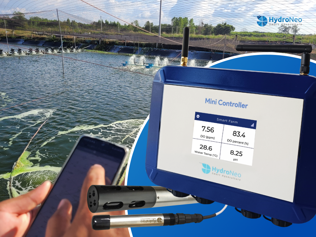 Preparing Shrimp Ponds: Expert Tips for Long-Term Success