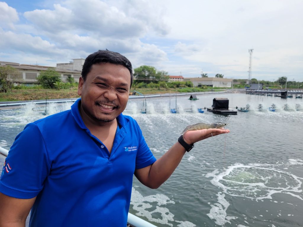 Good Shrimp Welfare Ensures High Survival Rates, Leading to Robust, Quality Growth