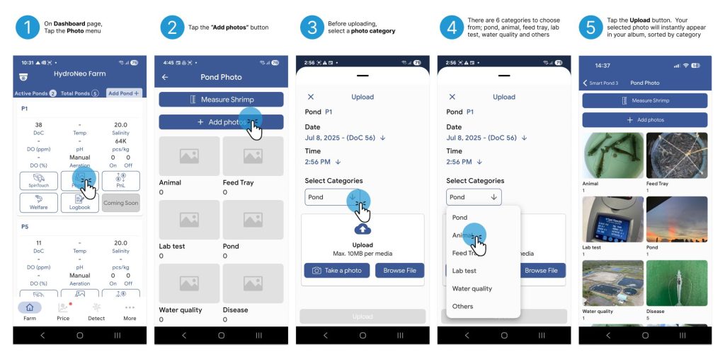 How to Use the Photo Album Feature
