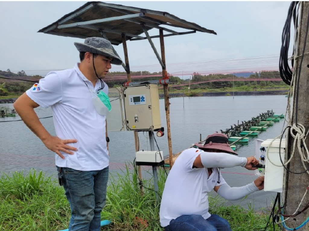 Install HydroNeo’s Smart Farm system to modernize and enhance the efficiency of shrimp farming.